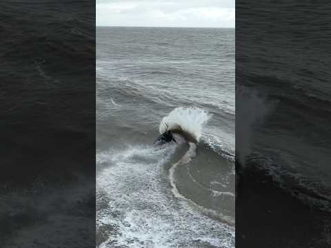 Testing out the @MustoClothing #flexlite range of wetsuits! #courtintheact #shred