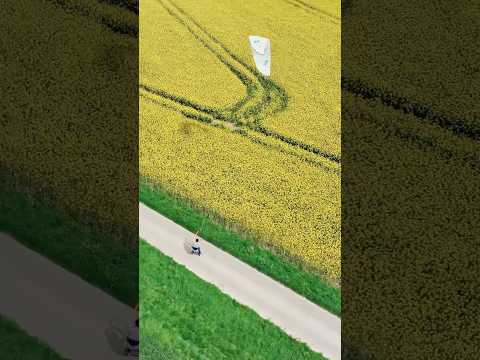 Yellow haze daze! #courtintheact #kiteskate #skate #summer