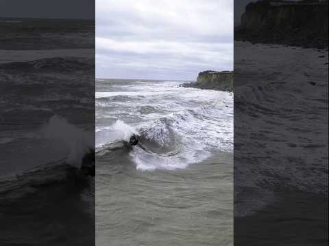 Storm conditions! #courtintheact 💨💦🤟 #kitesurfing #kitesurf #truekiteboarding #surf