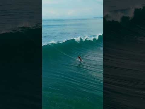 Solo Shreddies on perfect waves in #Bali! Check my latest vlog for the full shreddy #courtintheact