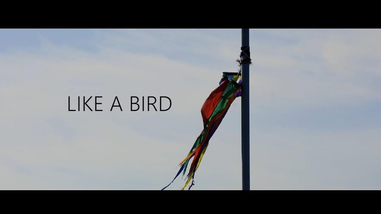 Like a bird – kitesurf videó és tippek